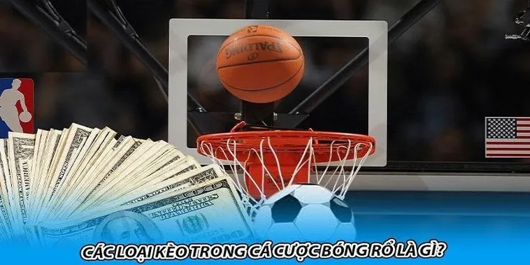 Tìm Hiểu Cá Cược Bóng Rổ 8DAY: Hướng Dẫn Chi Tiết