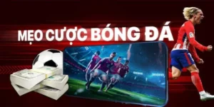 Tìm Hiểu Cá Cược Bóng Đá 8DAY: Hành Trang Cho Người Mới