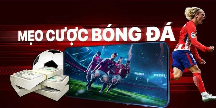 Tìm Hiểu Cá Cược Bóng Đá 8DAY: Hành Trang Cho Người Mới