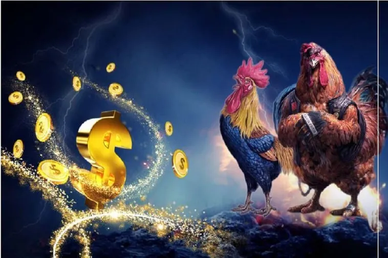 Bí Quyết Tham Gia Đá Gà Sabong Tại 8DAY Thành Công 2 Bí Quyết Tham Gia Đá Gà Sabong Tại 8DAY Thành Công