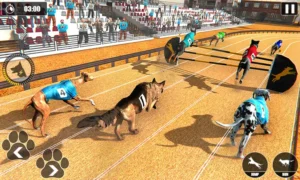 Bí Quyết Chinh Phục Game Đua Chó Tại 8DAY Nhanh Chóng